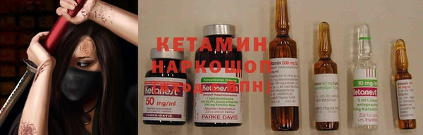 прущие грибы Арсеньев