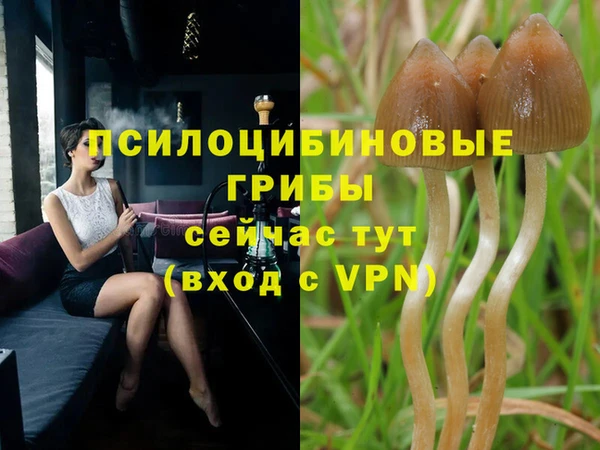 2c-b Аркадак
