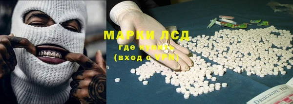 прущие грибы Арсеньев